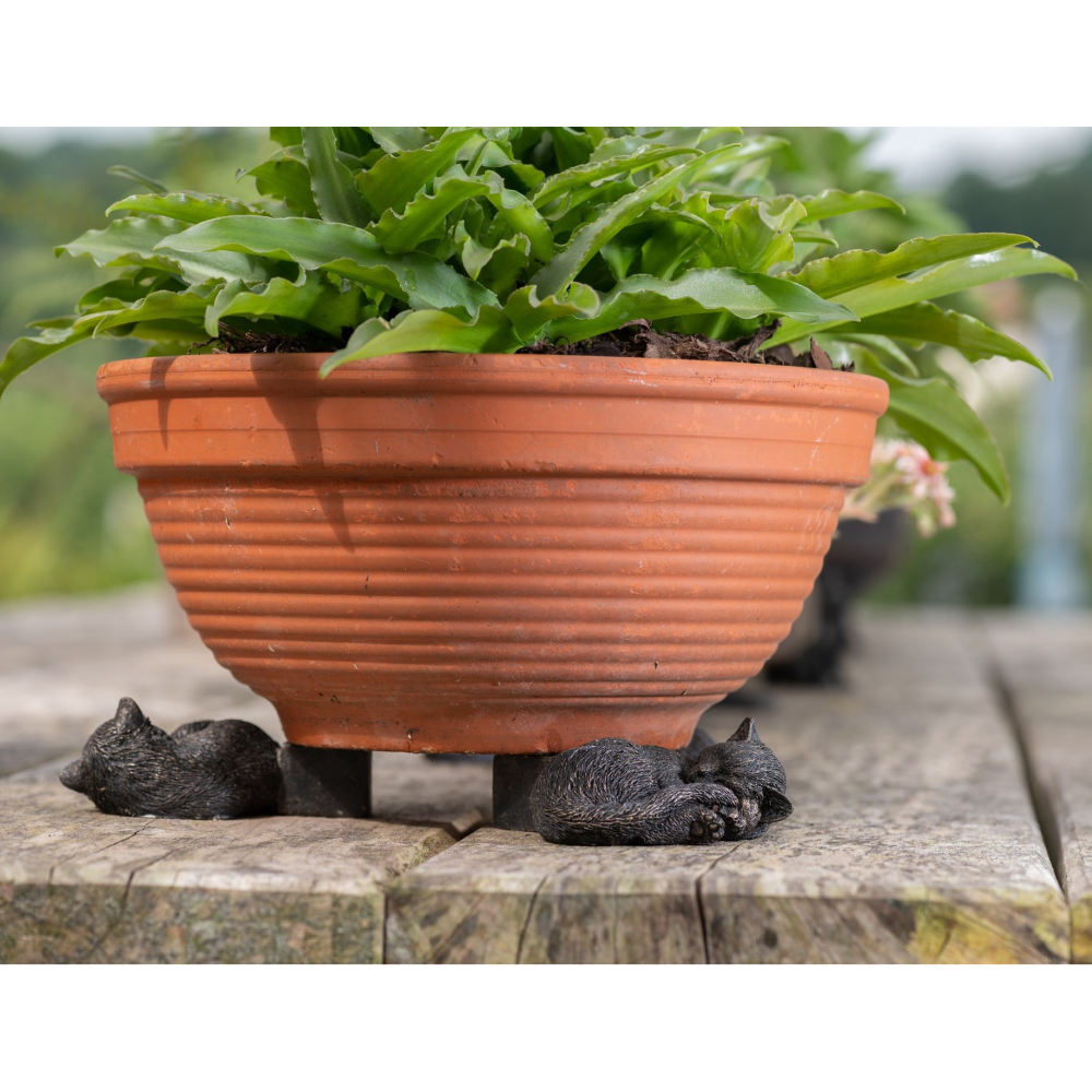 Cat Plant Pot Feet - Set of Three