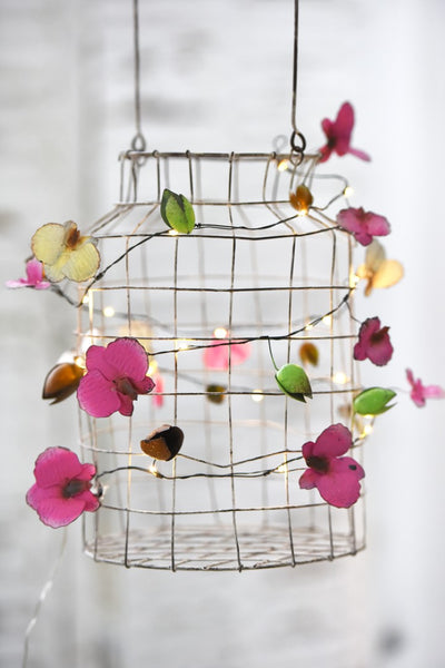 Orchid Fairy Lights