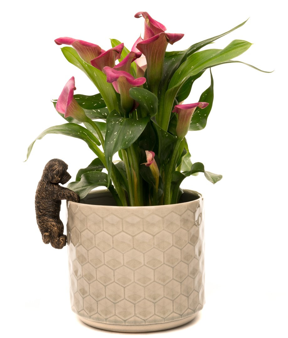 Antique Bronze Coloured Cockapoo Plant Pot Hanger