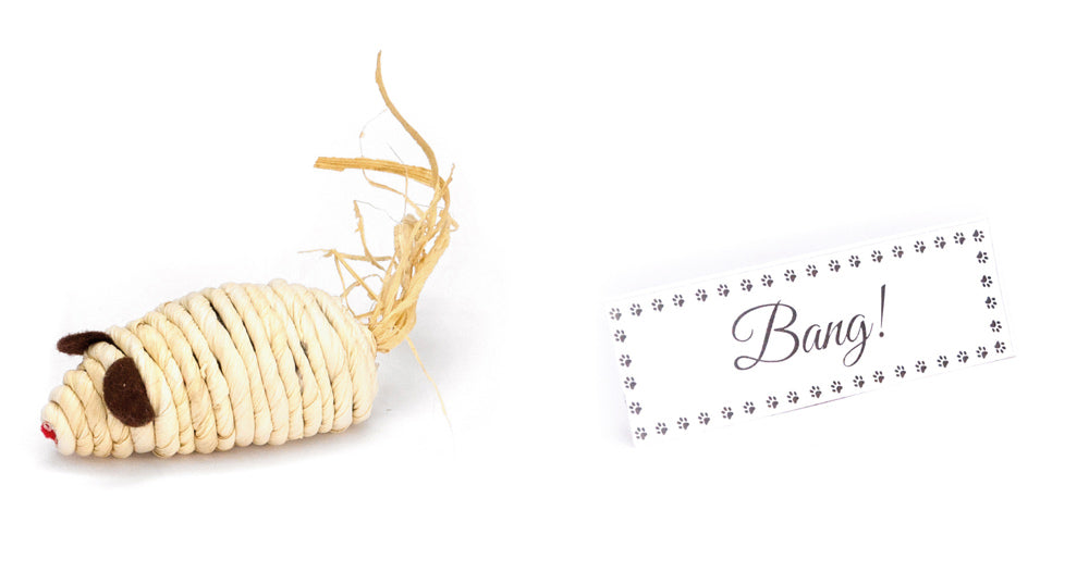 Christmas Cracker for Cat