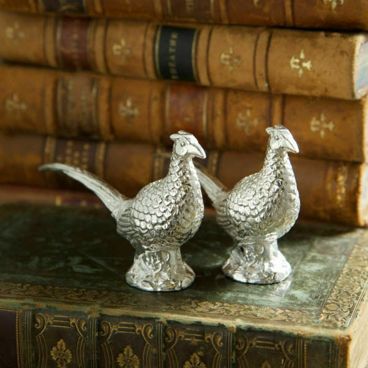 Pheasant Salt and Pepper Set