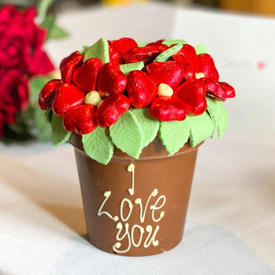 Chocolate Smash Plant Pot - Red