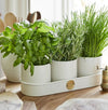 Herb Pots and Accessories