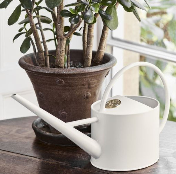 Watering Can - Buttermilk - annabeljames