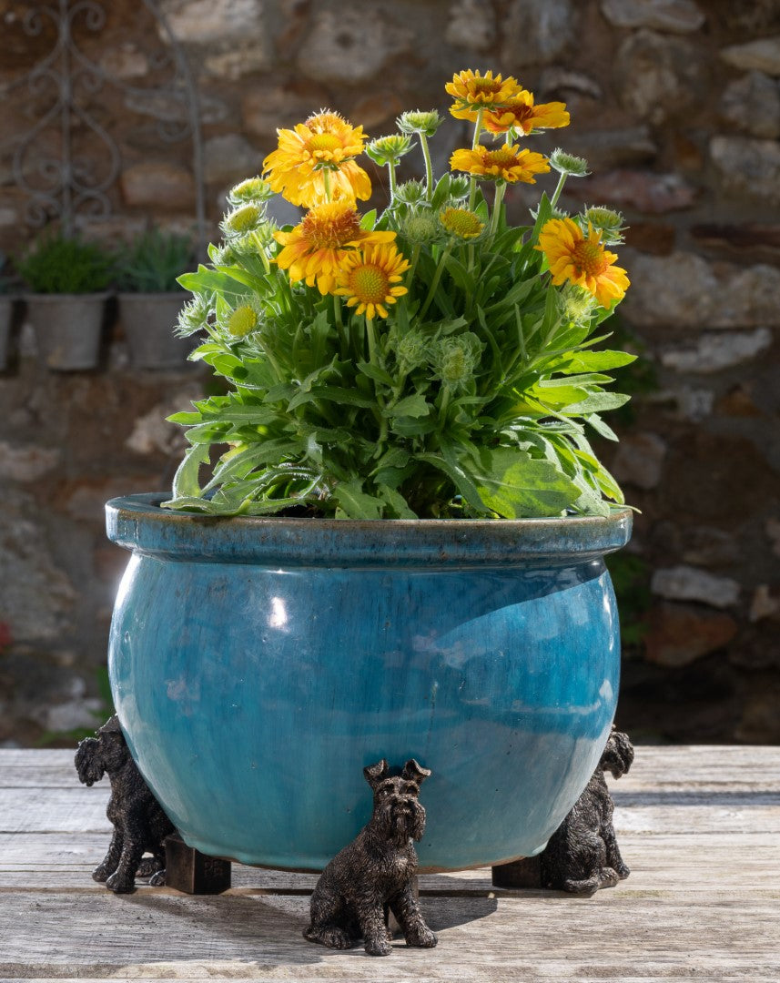 Antiqued Bronze Schnauzer Plant Pot Feet - Set of Three