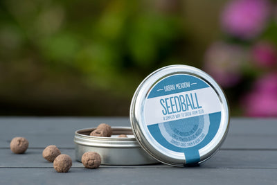 Seedball - Urban Meadow