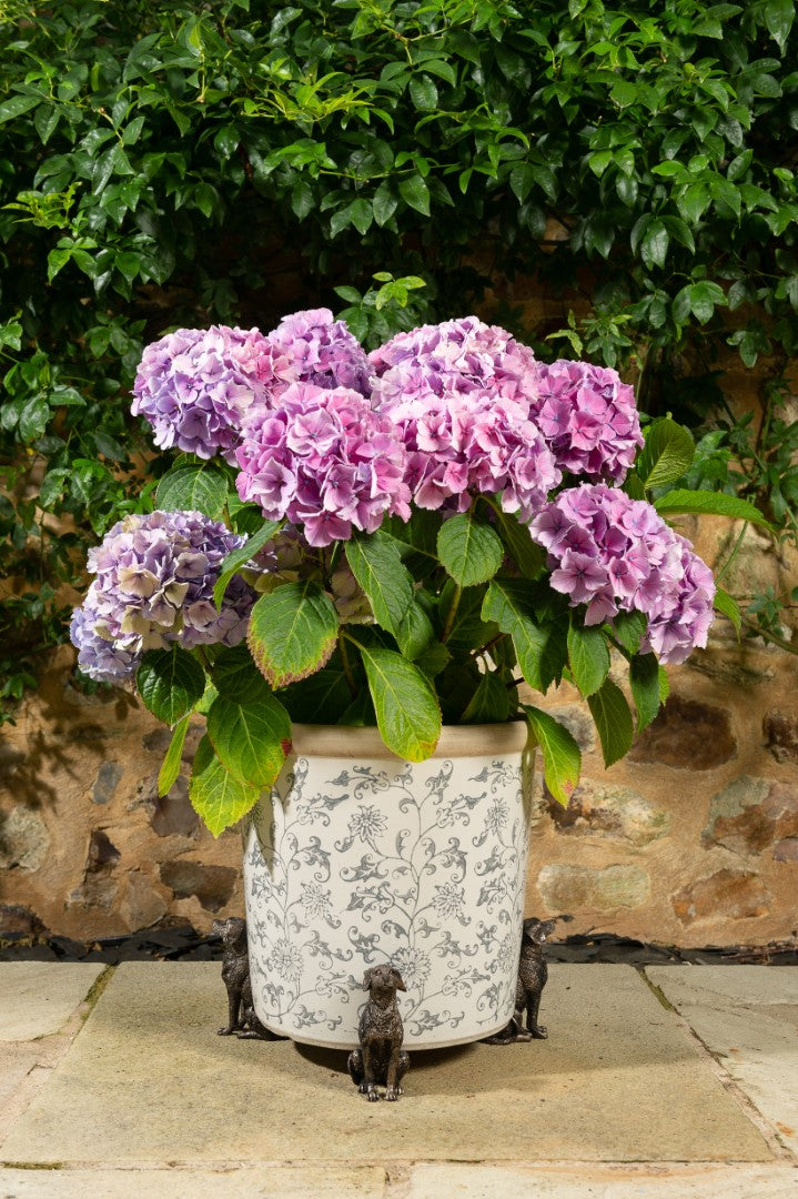 Labrador Plant Pot Feet - Set of Three