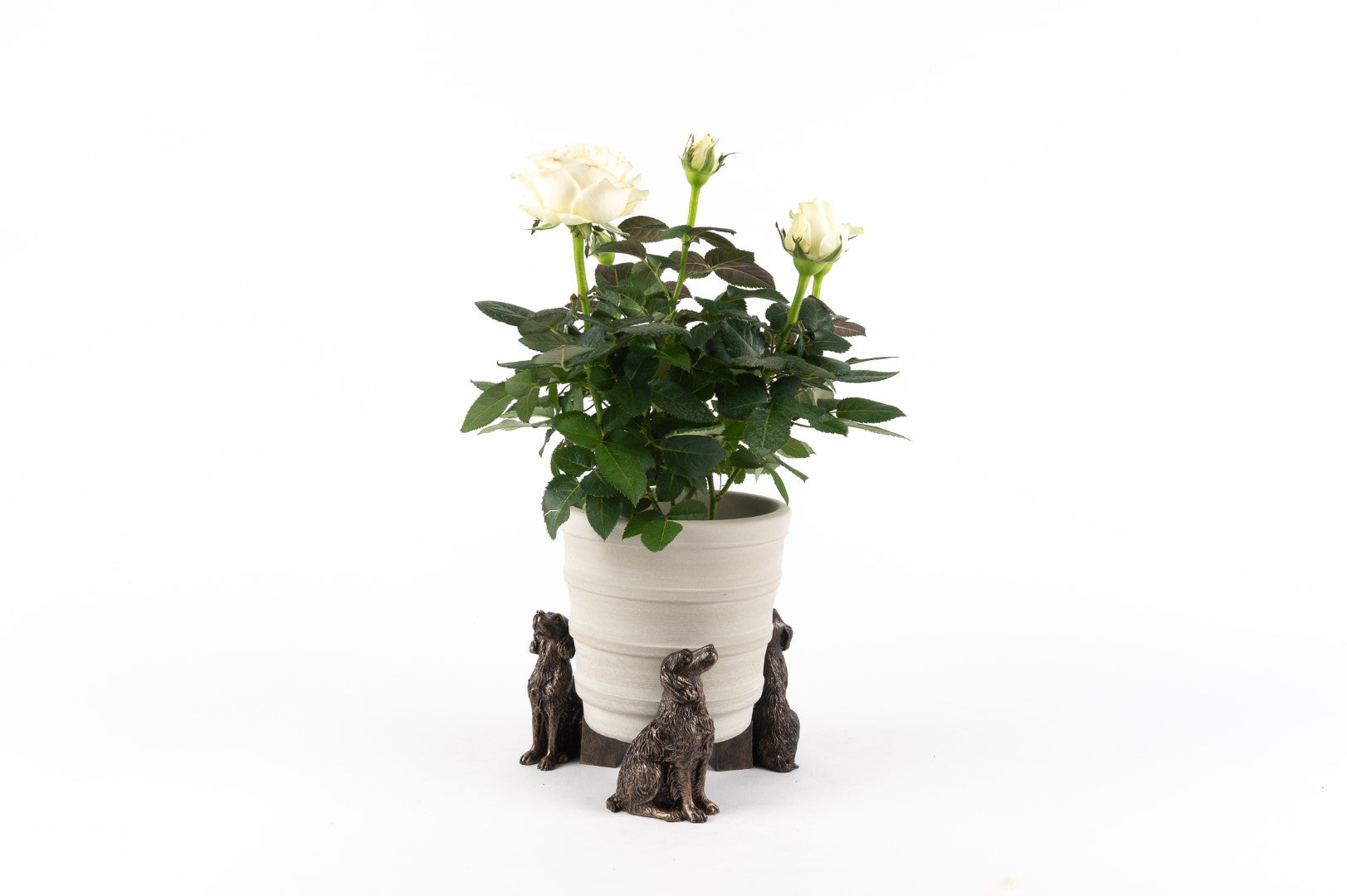 Springer Spaniel Plant Pot Feet - Set of Three