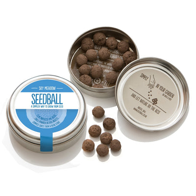 Seedball - Sky Meadow Mix