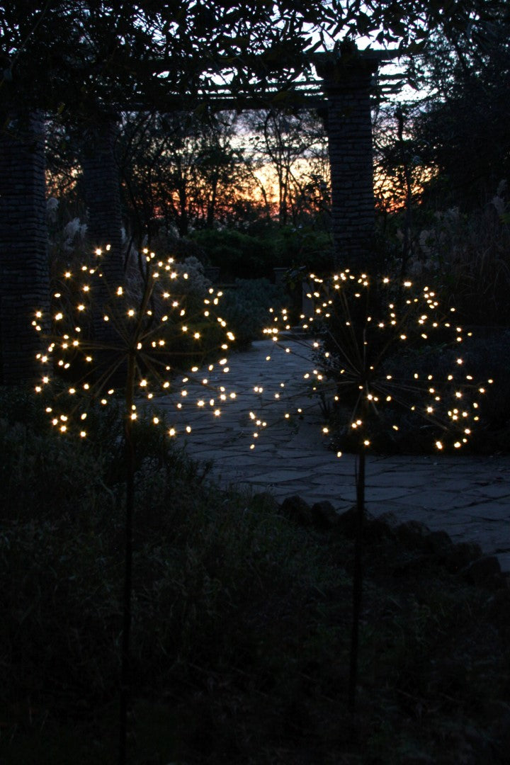 Solar Powered Garden Lights