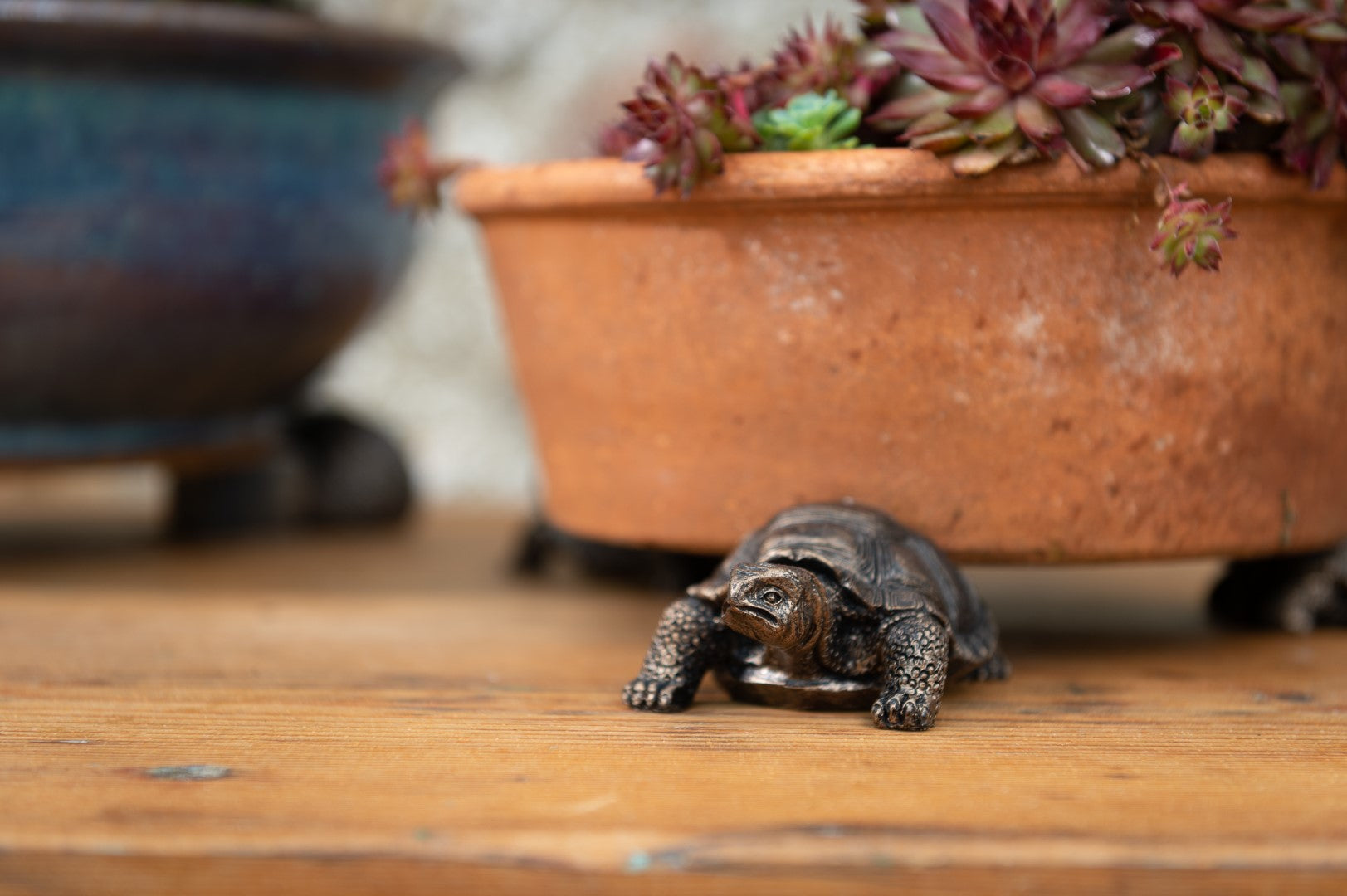 Tortoise Plant Pot Feet - Set of Three