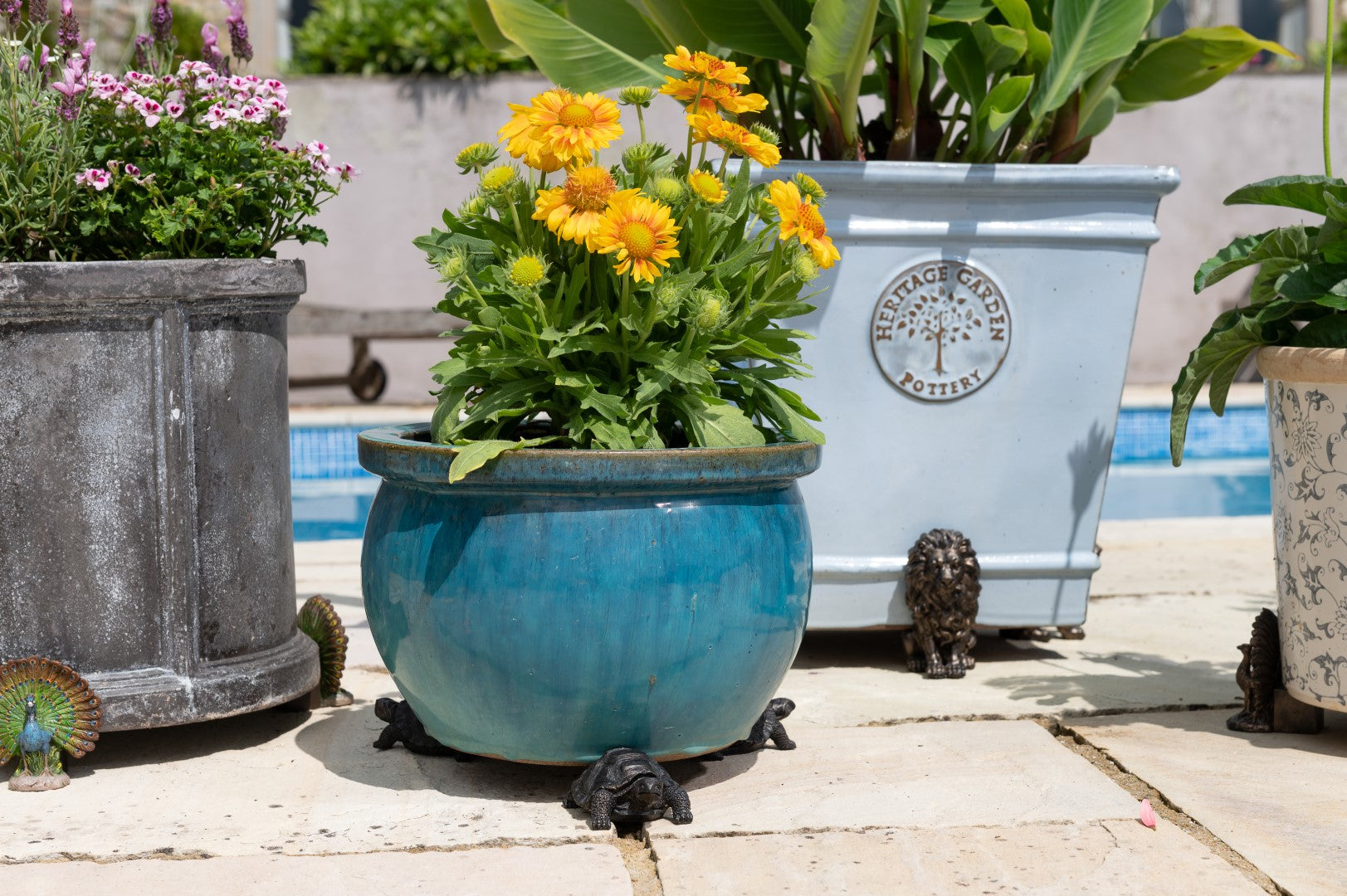 Tortoise Plant Pot Feet Set of Three - Main Image