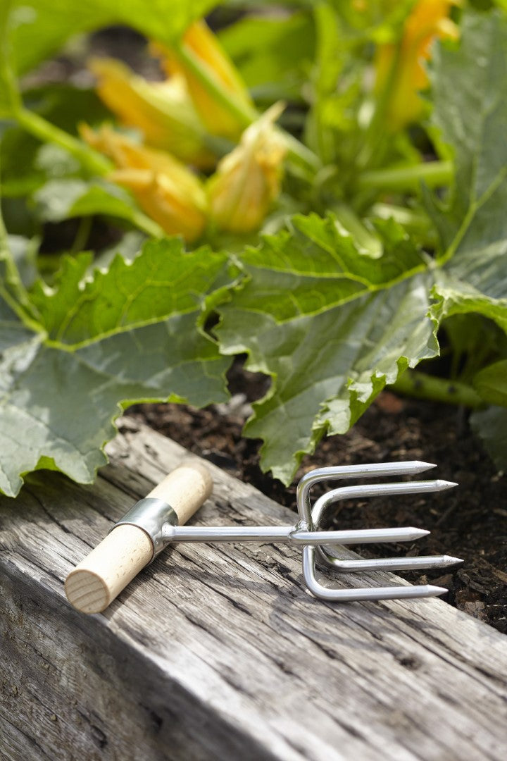 Sophie Conran Twist Cultivator