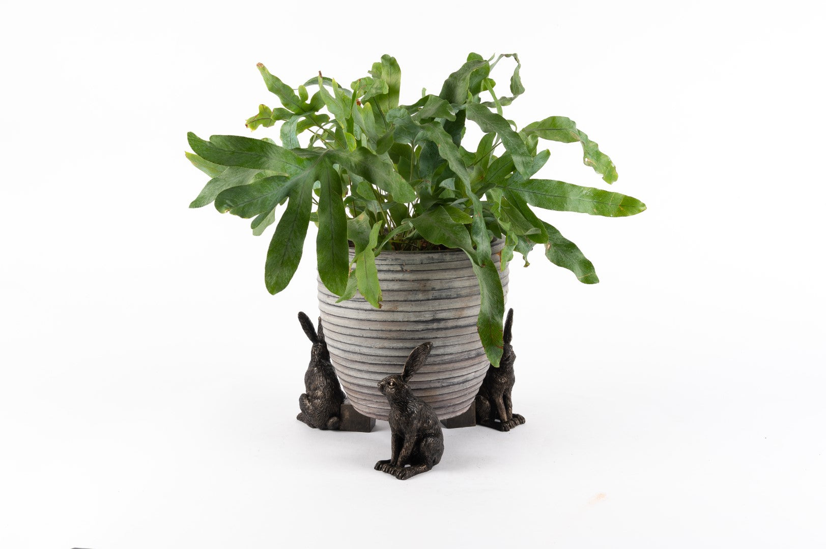 Antique Bronze Hare Plant Pot Feet - Set of Three