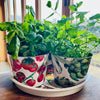 Vegetable Garden Herb Pots, Set of 3