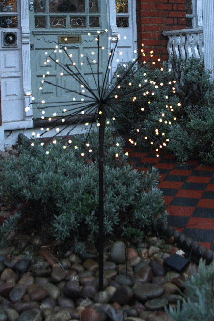 Solar Powered Garden Lights