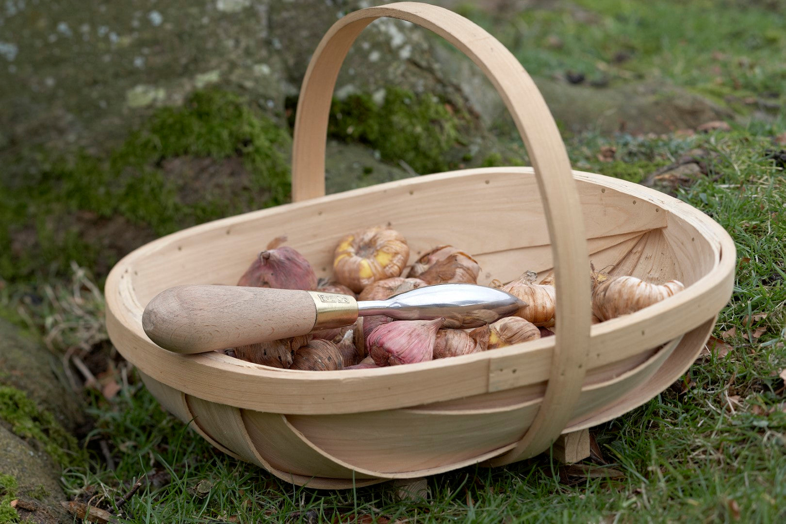 Sophie Conran Dibber