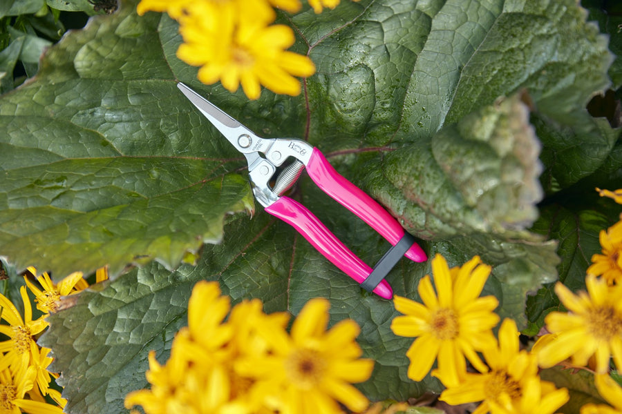 Flower and Fruit Snips - Pink