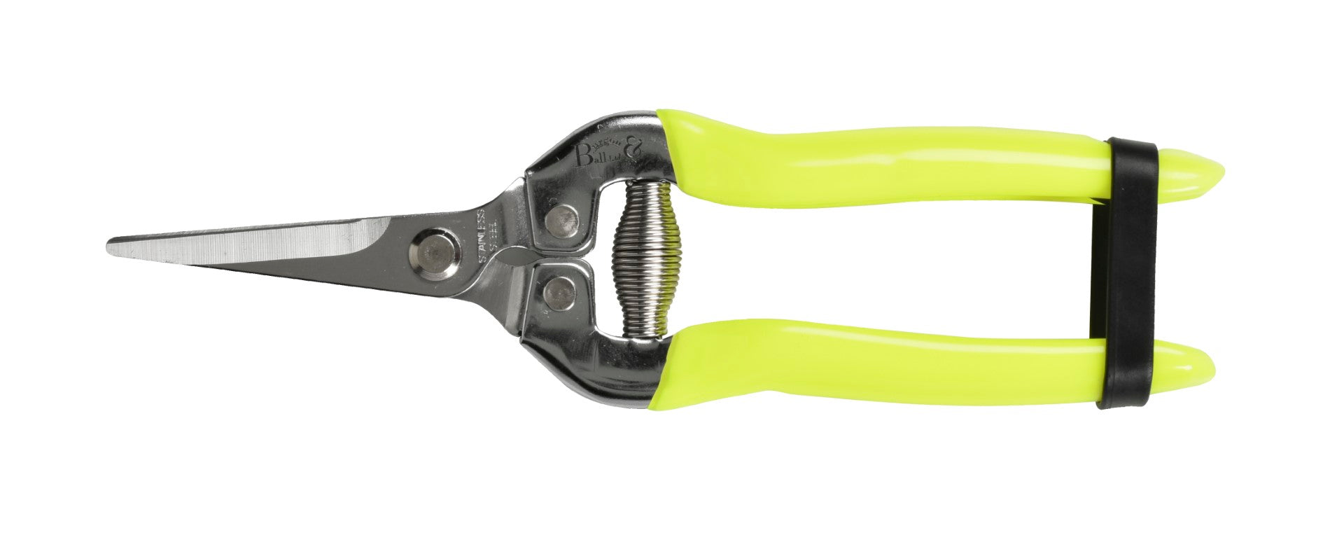 Flower and Fruit Snips - Citrus