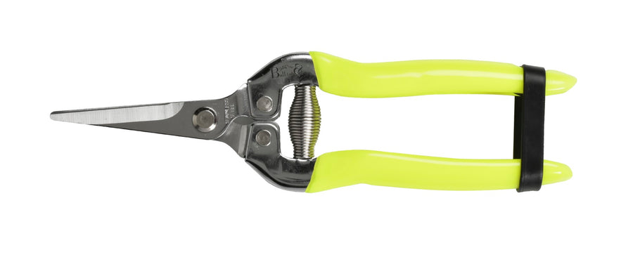 Flower and Fruit Snips - Citrus