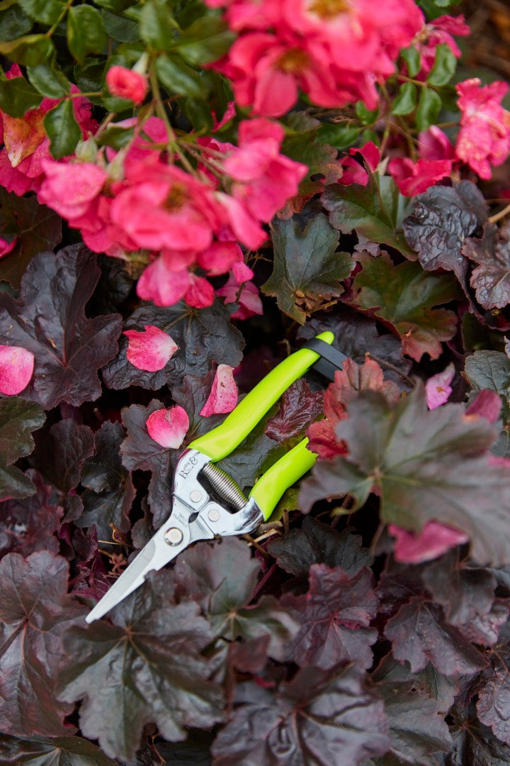 Flower and Fruit Snips - Citrus