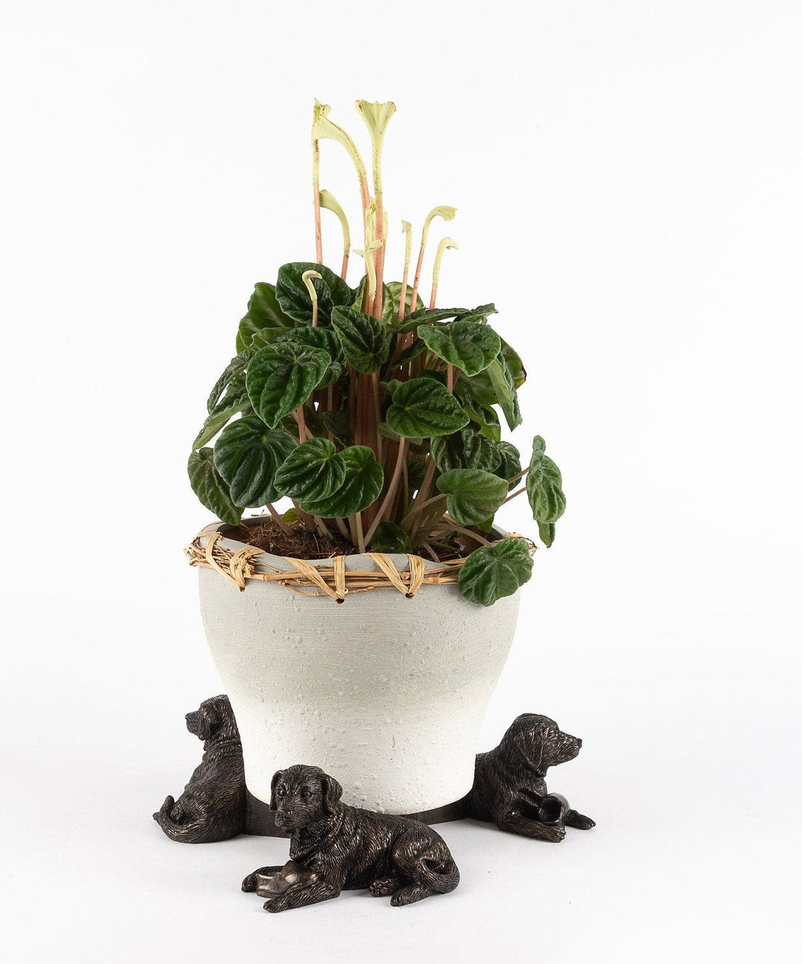 Resting Labrador Plant Pot Feet - Set of Three