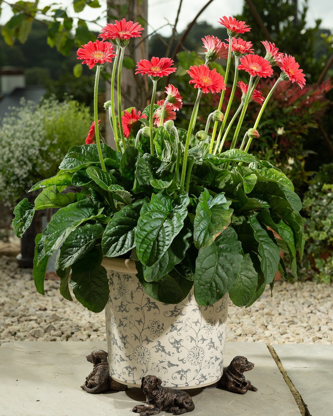 Resting Labrador Plant Pot Feet - Set of Three
