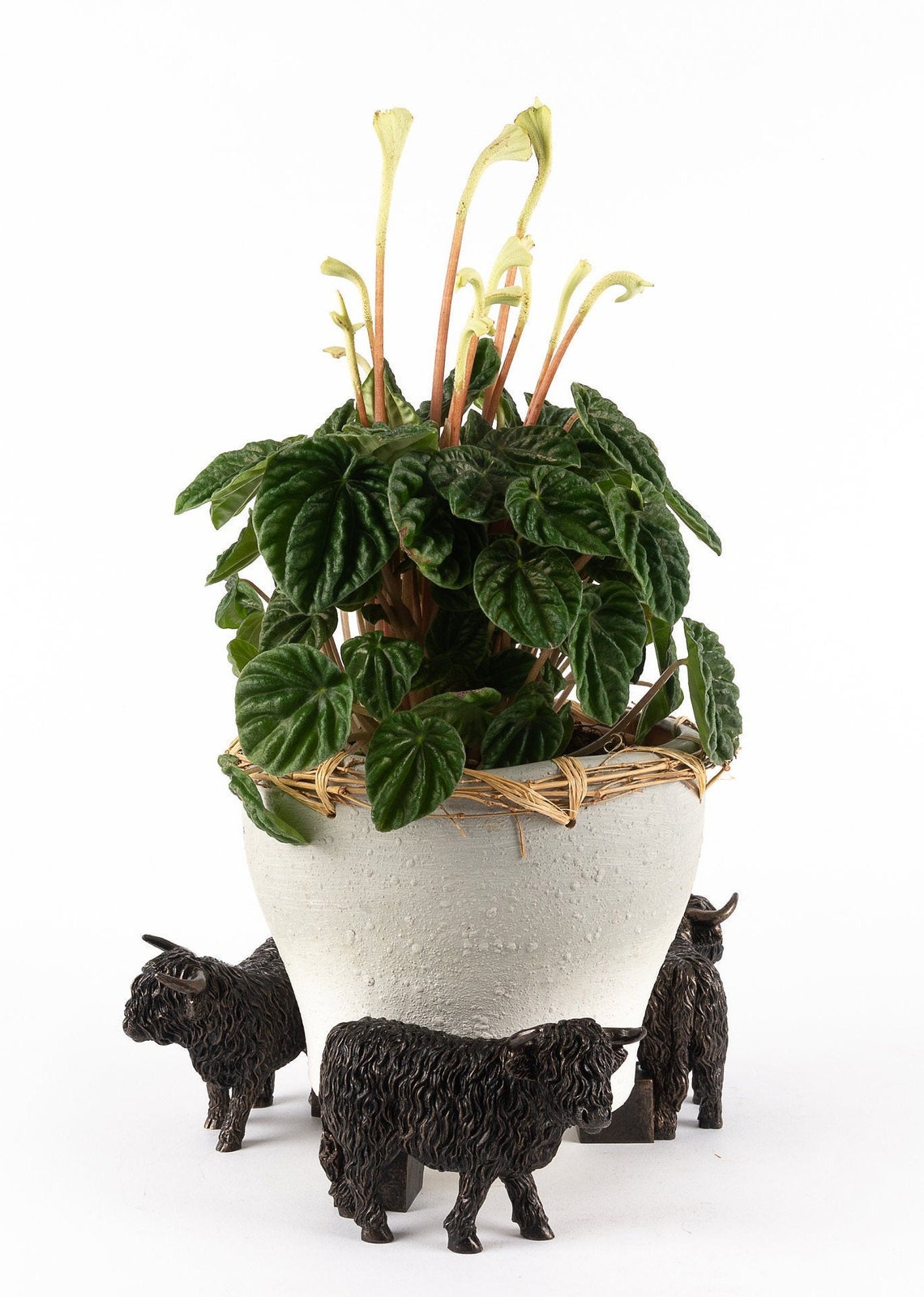 Highland Cow Plant Pot Feet - Set of Three