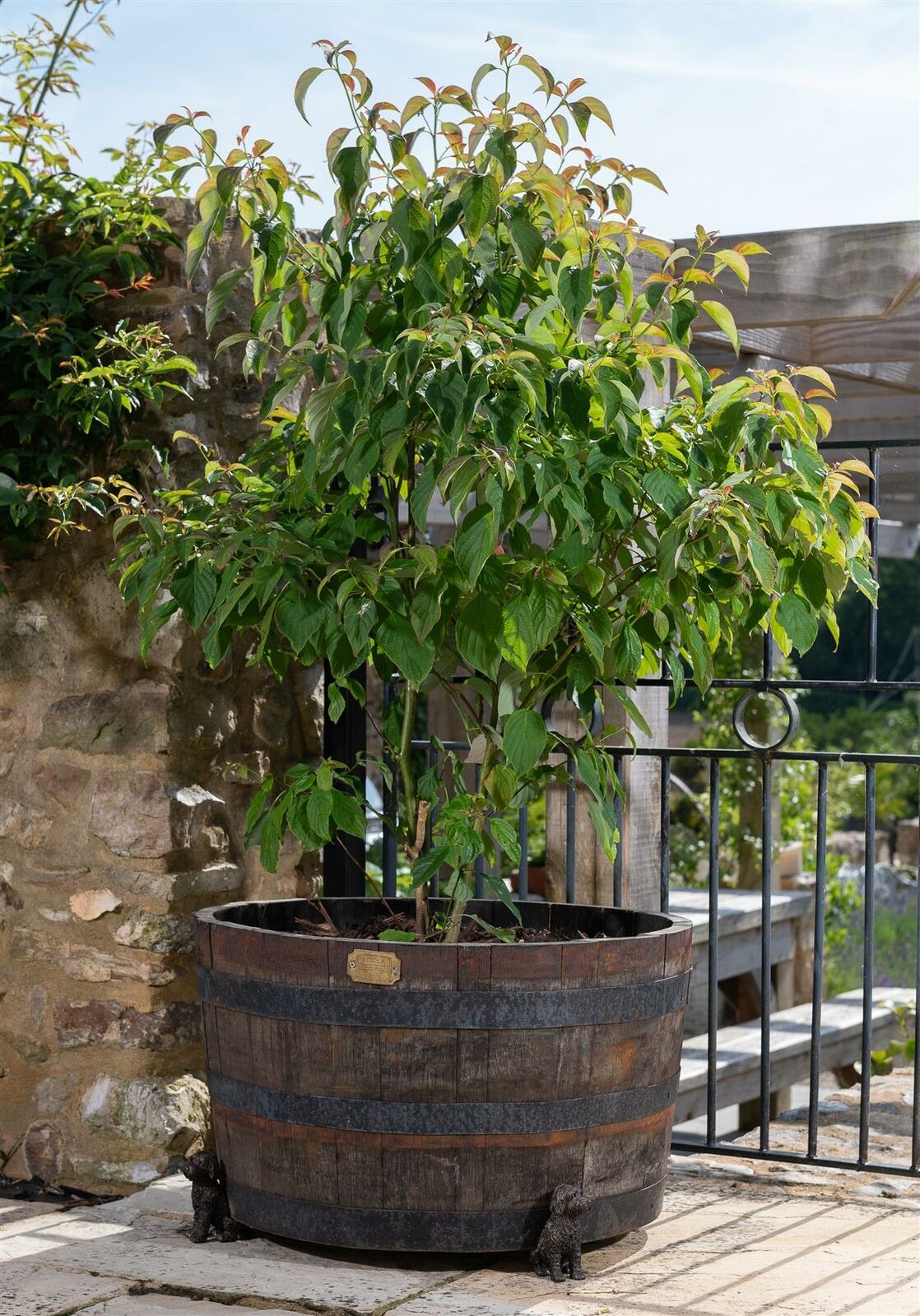 Cockapoo Plant Pot Feet - Set of Three
